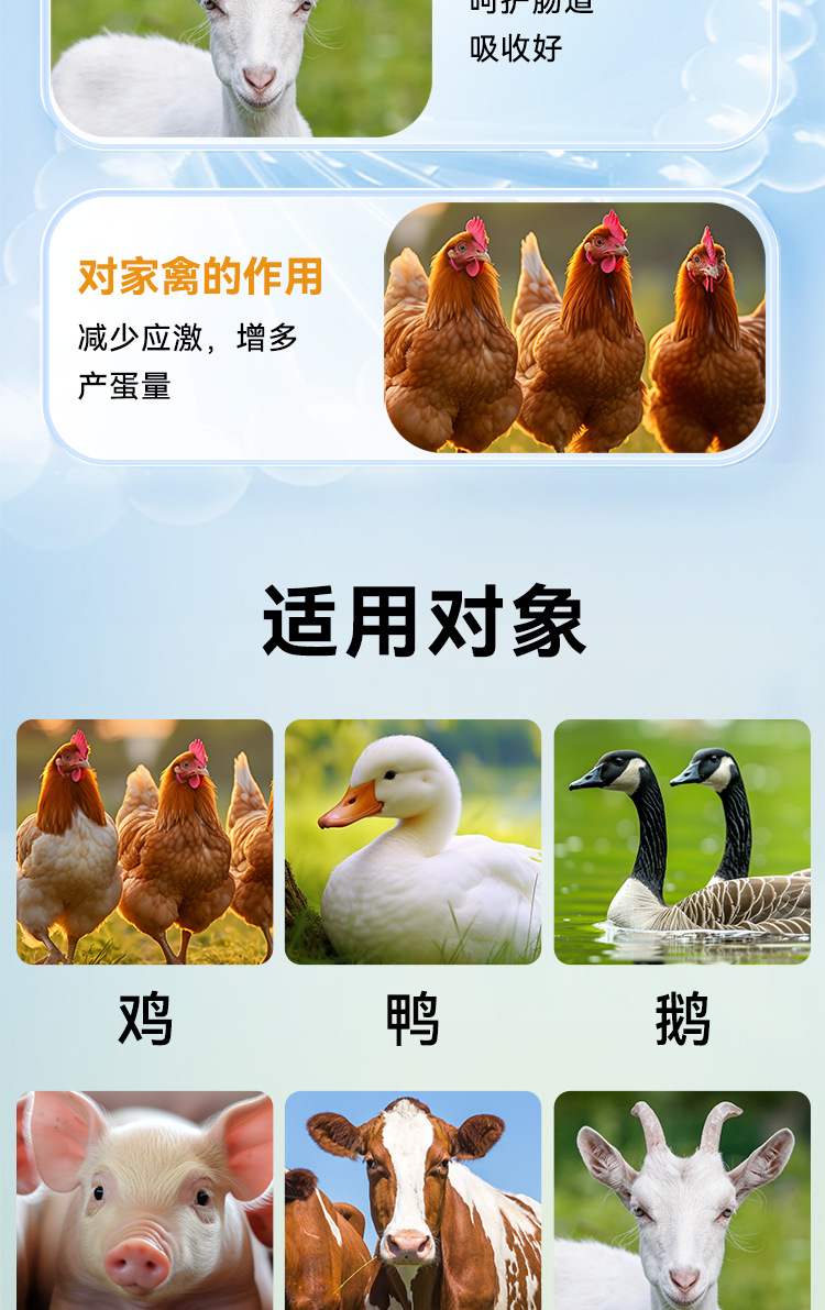 黄芪多糖贴牌定制 畜牧养殖源头工厂的选择指南
