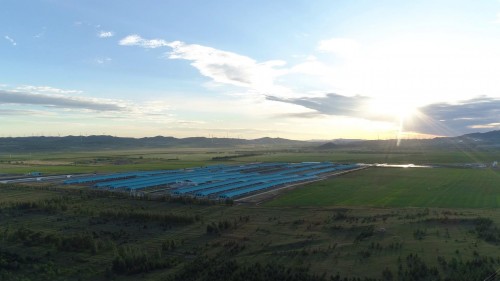 科技助力、供应链加持——畜牧养殖没有想象中容易